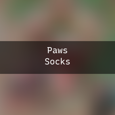 Santa Paws