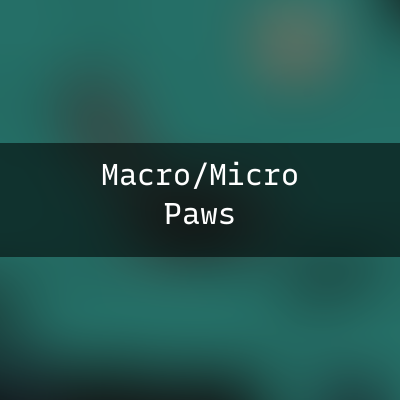 Paw Hugs