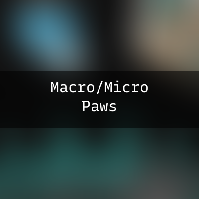 Paw Pets